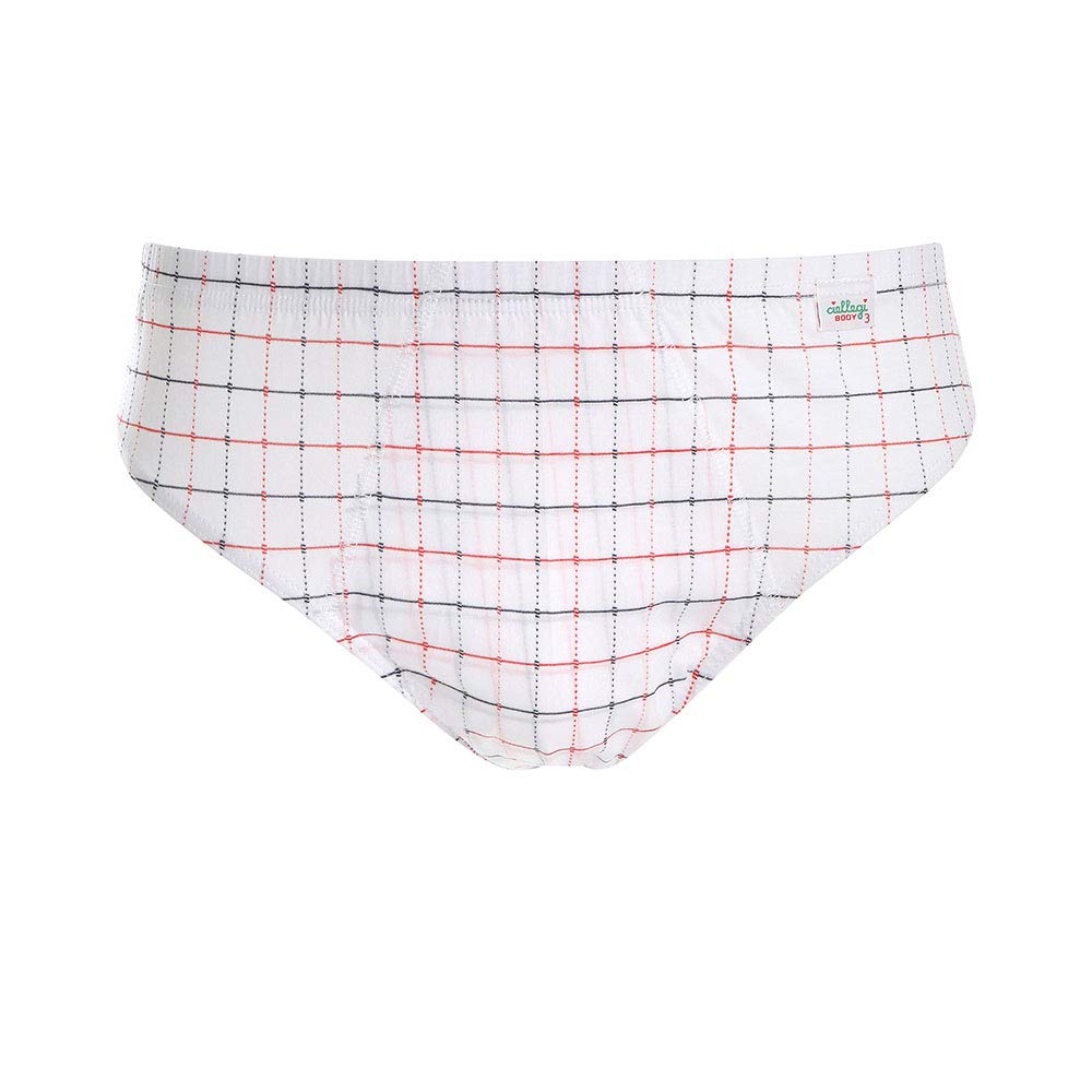 Lady C slip uomo cotone a quadretti taglia L 6 pezzi