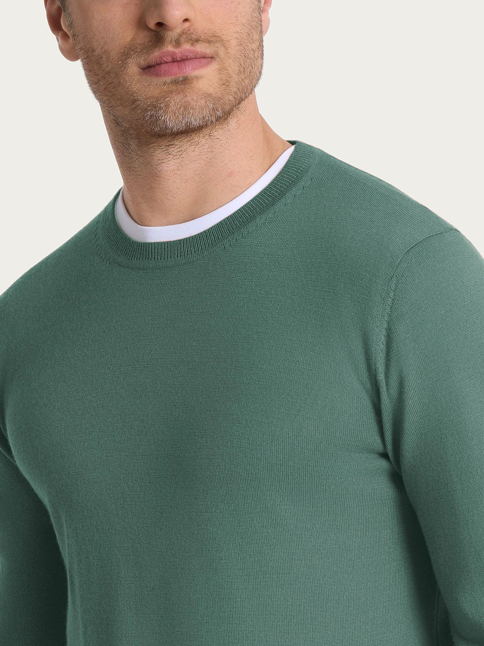 Ragno Merino Soft pull girocollo Dark Forest lana