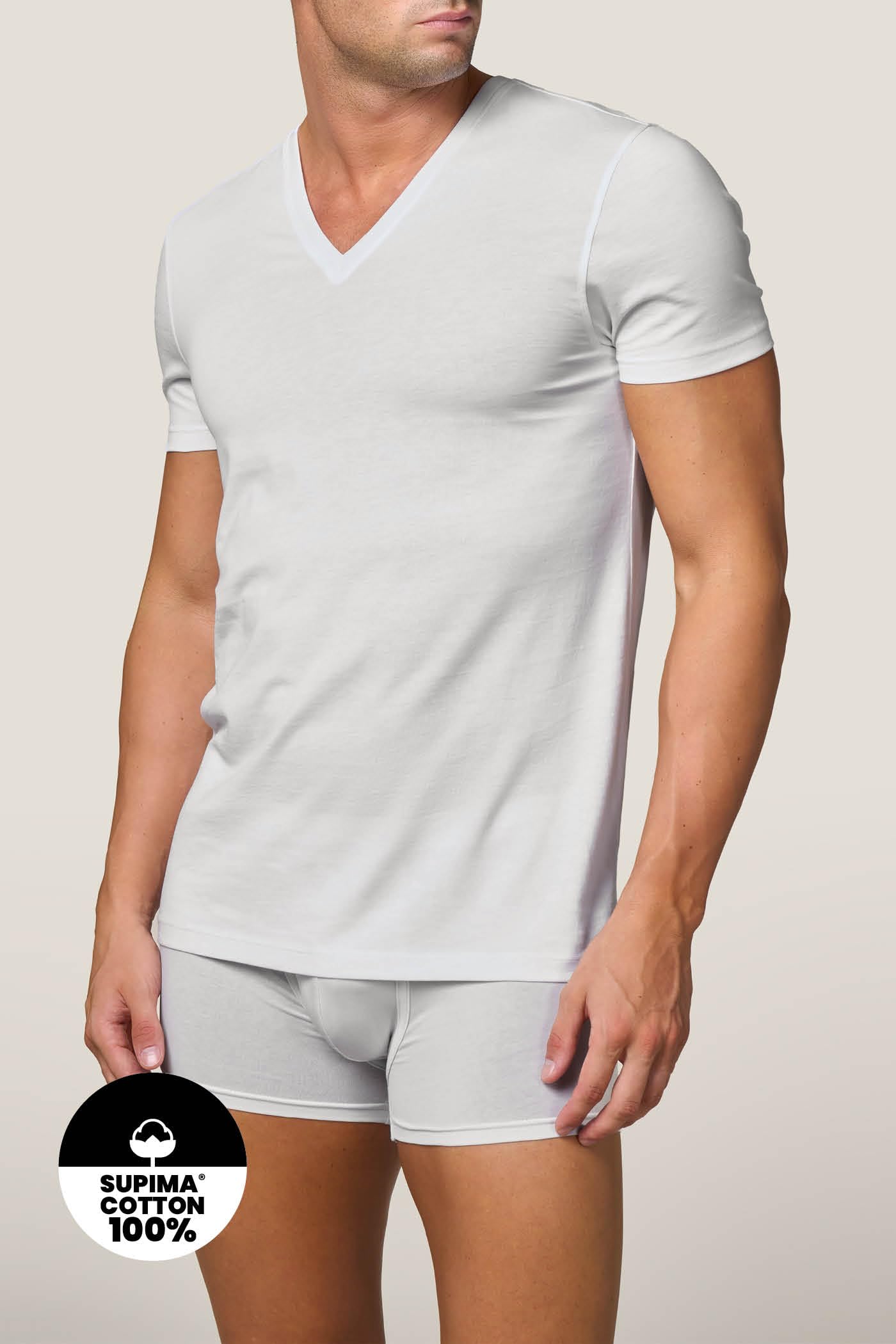 Goldenpoint T-Shirt Uomo Scollo V Cotone Supima Taglia XXL
