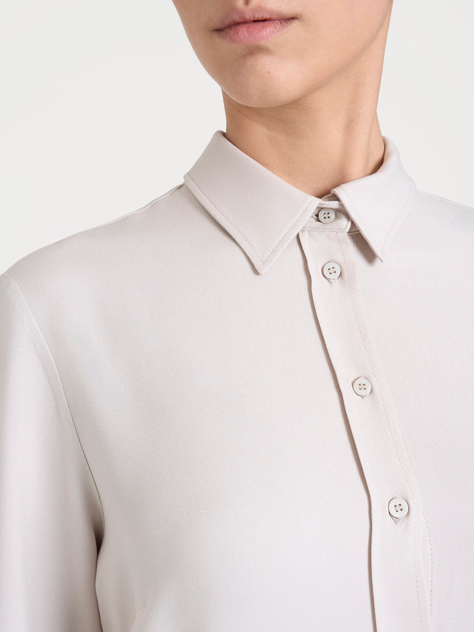 Ragno Winter EcoSeta camicia Champignon manica lunga