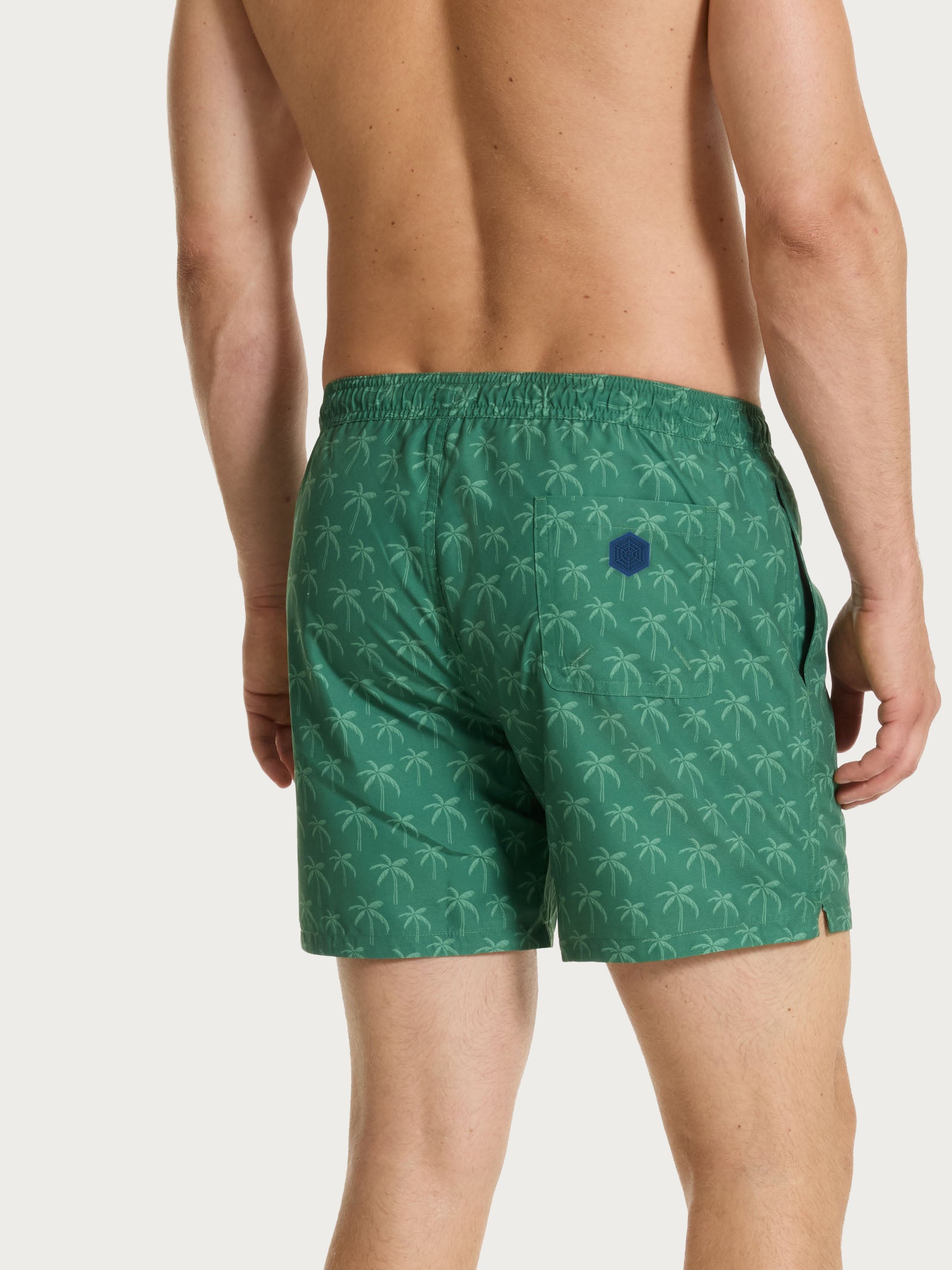 Ragno Boxer costume mare uomo fantasia Elm Green leggero