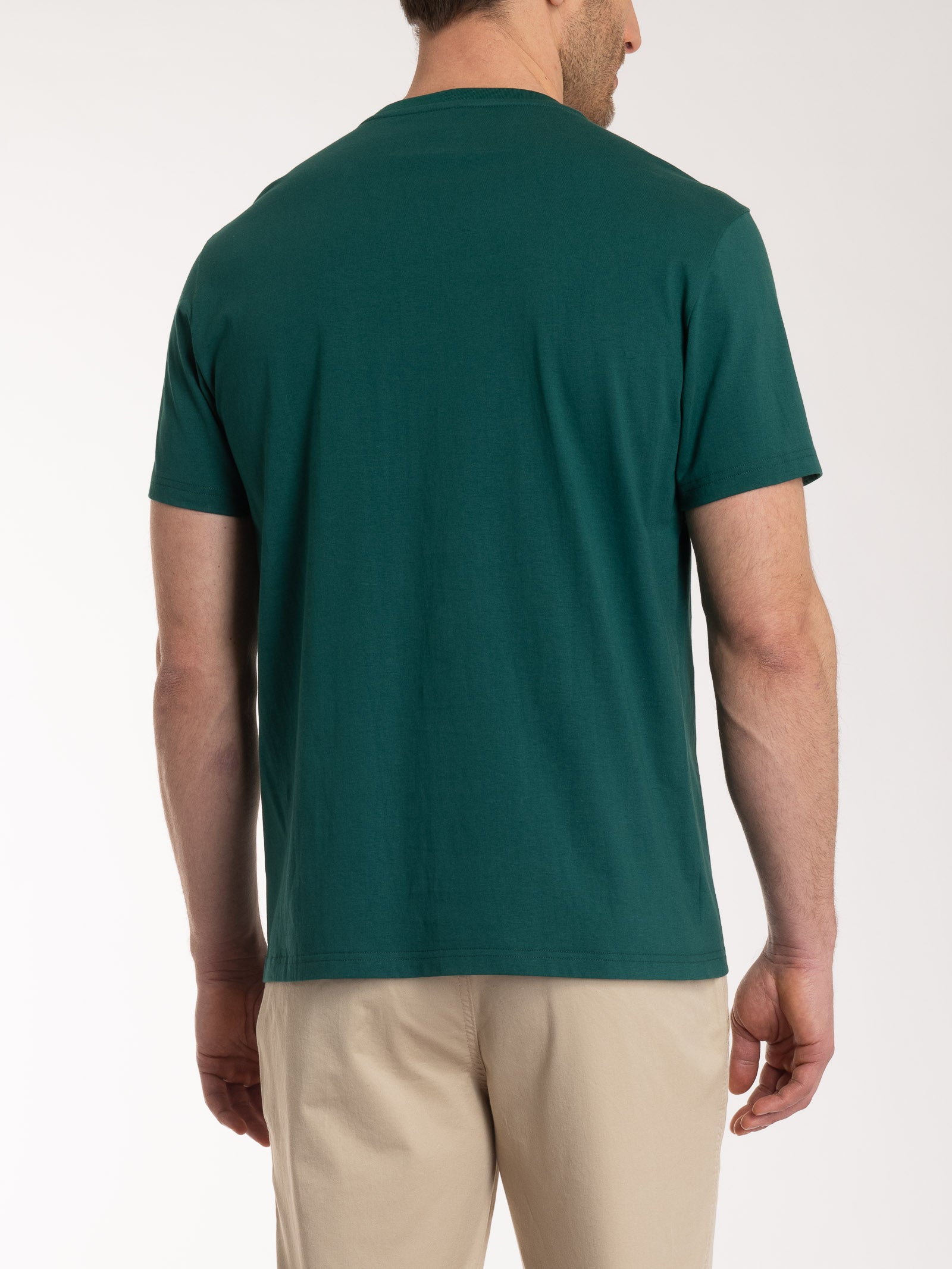 Ragno Jersey Cotone t-shirt girocollo verde uomo