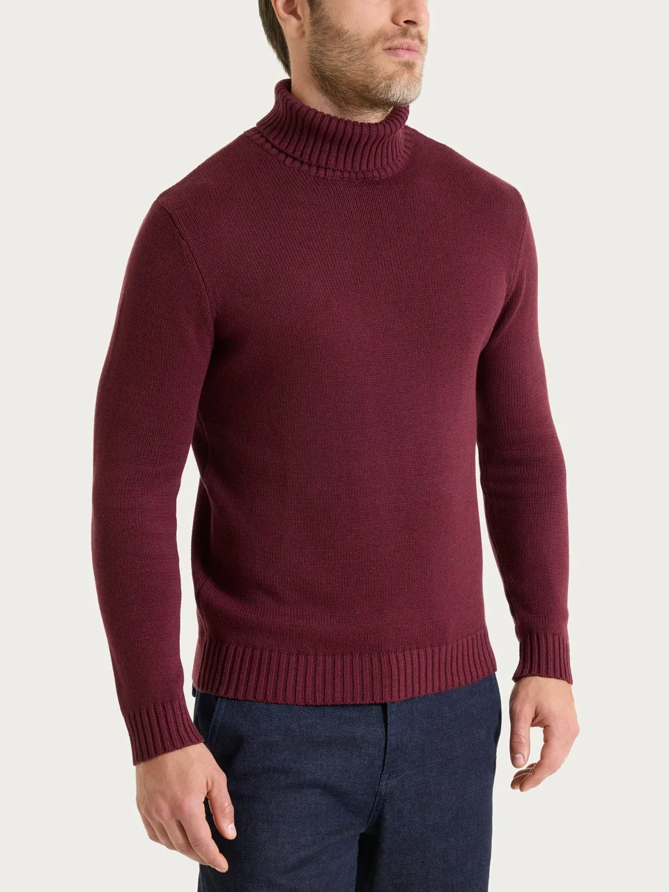 Ragno Winter Cotton dolcevita uomo viola regular