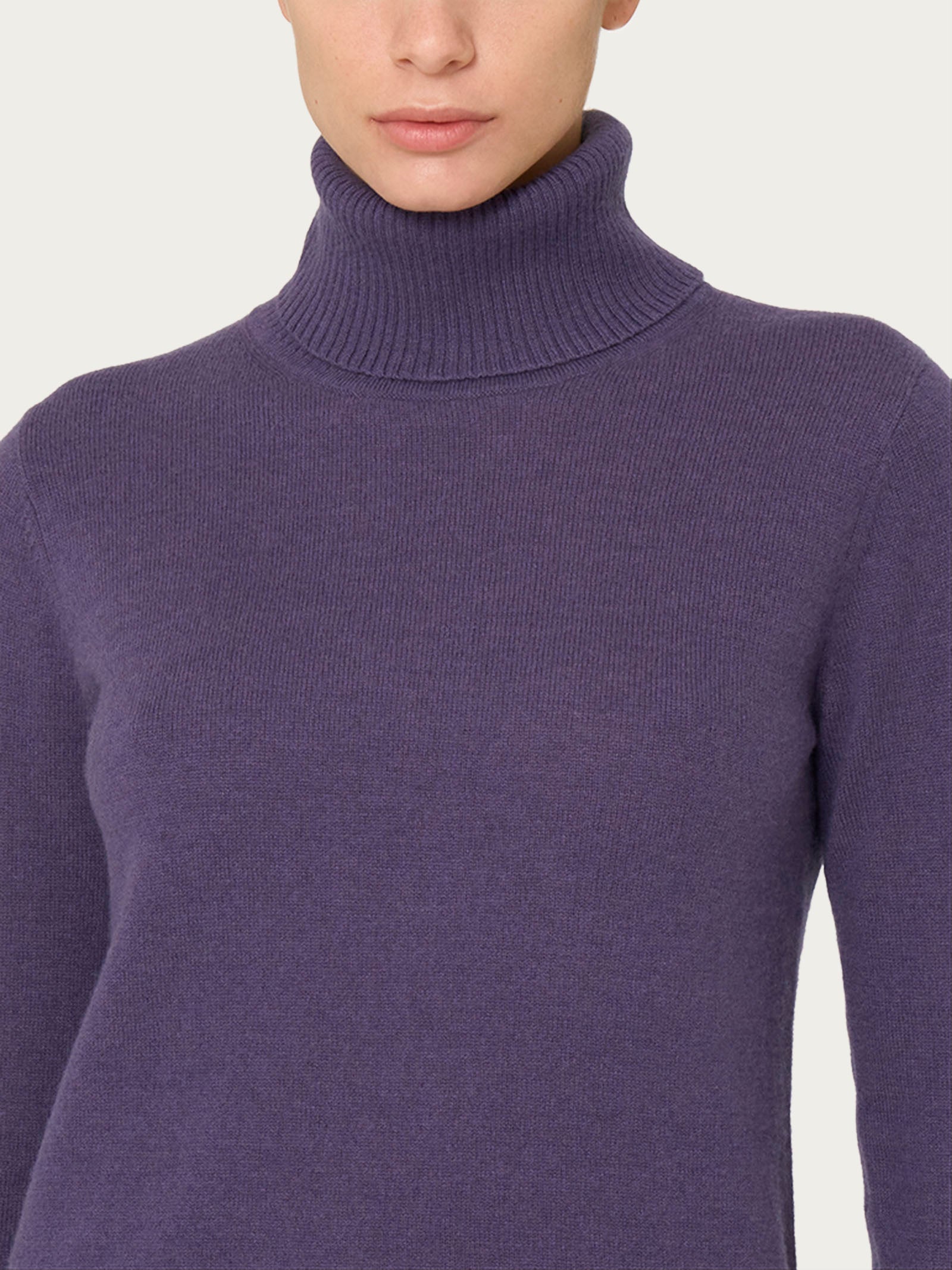 Ragno Merino Soft dolcevita donna mulled grape lana