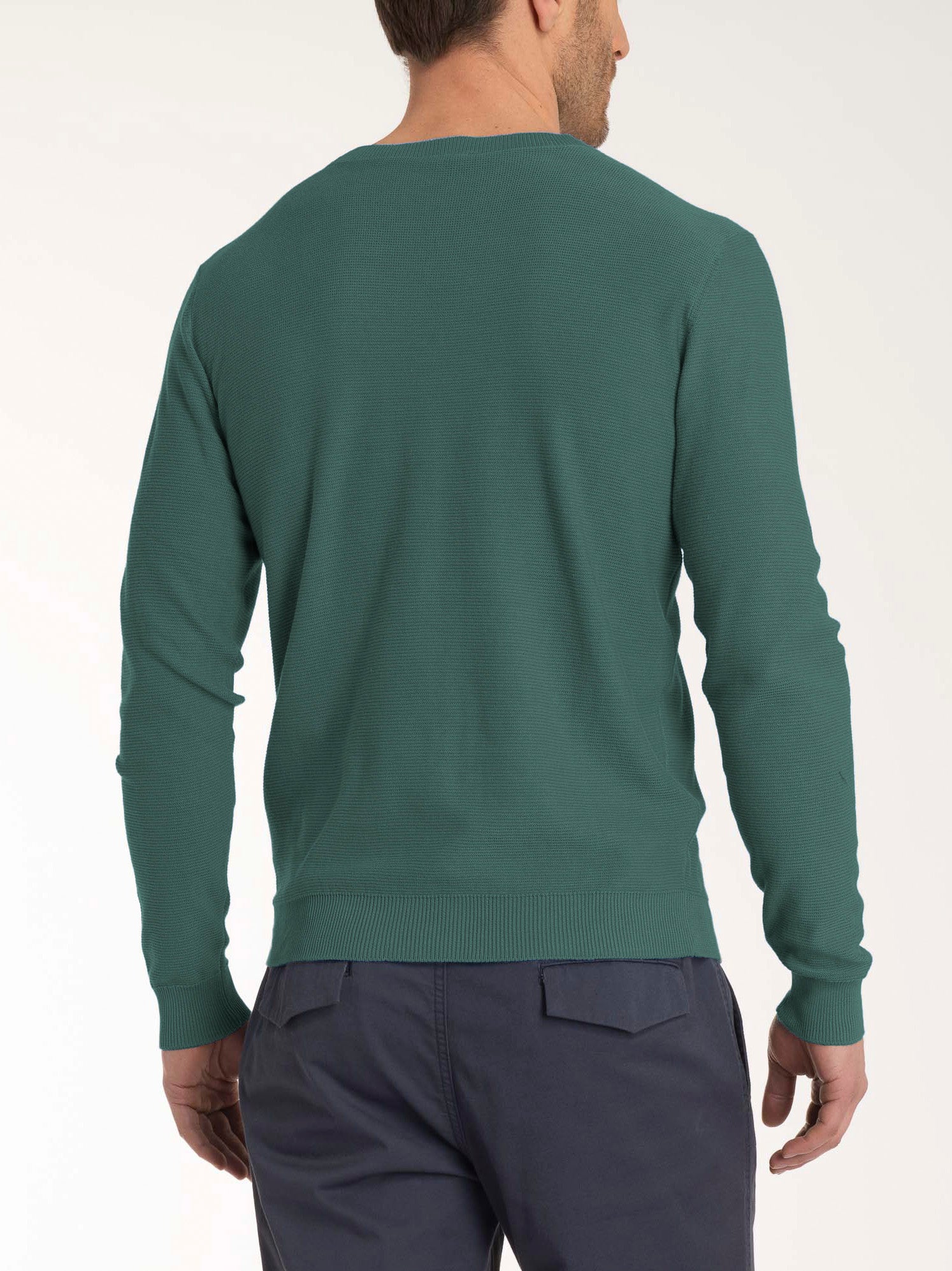Ragno Puro Cotone Pull Girocollo Maglione Dark Forest uomo