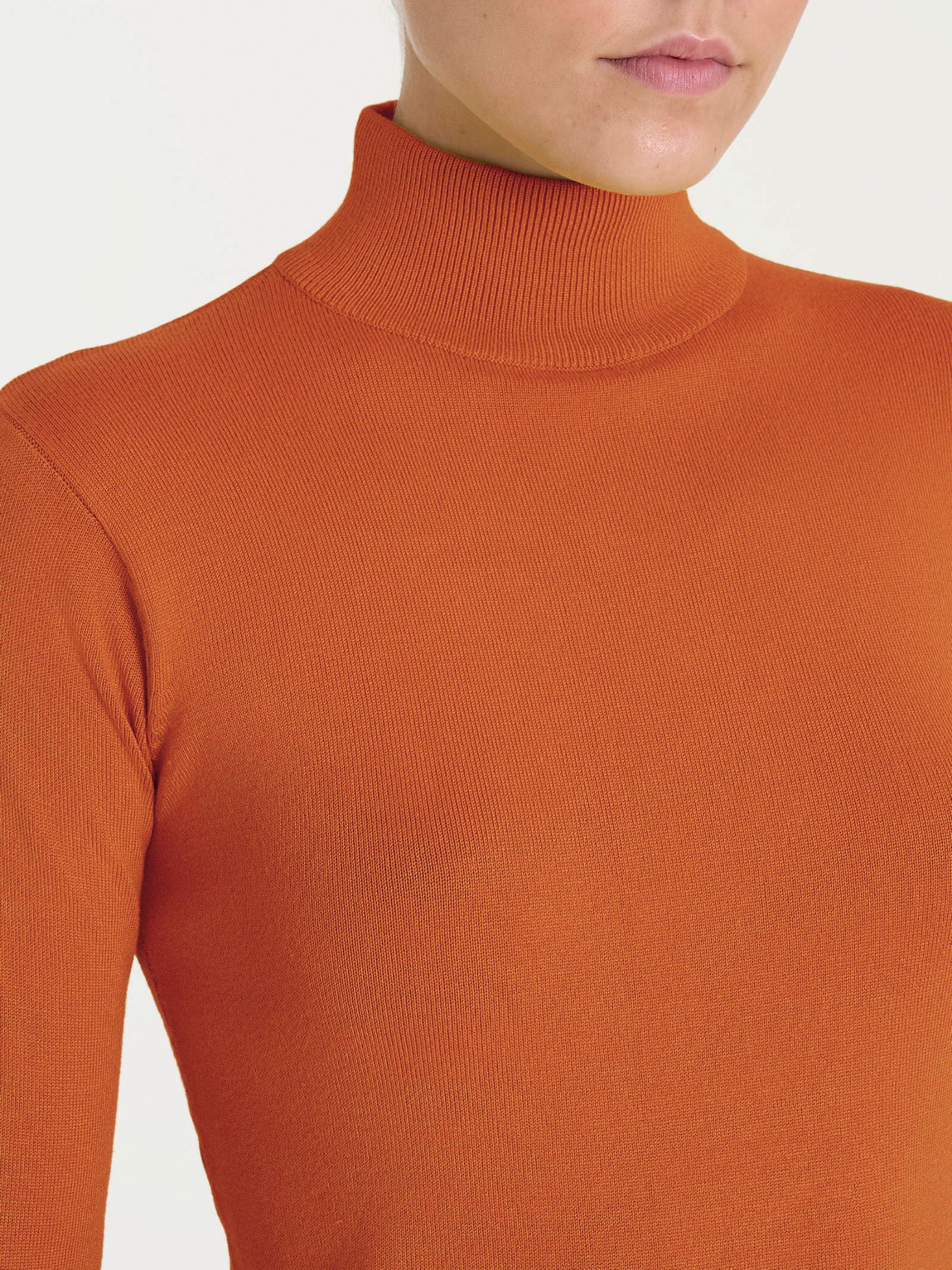 Ragno Four Seasons Lupetto Viscosa Donna Rust