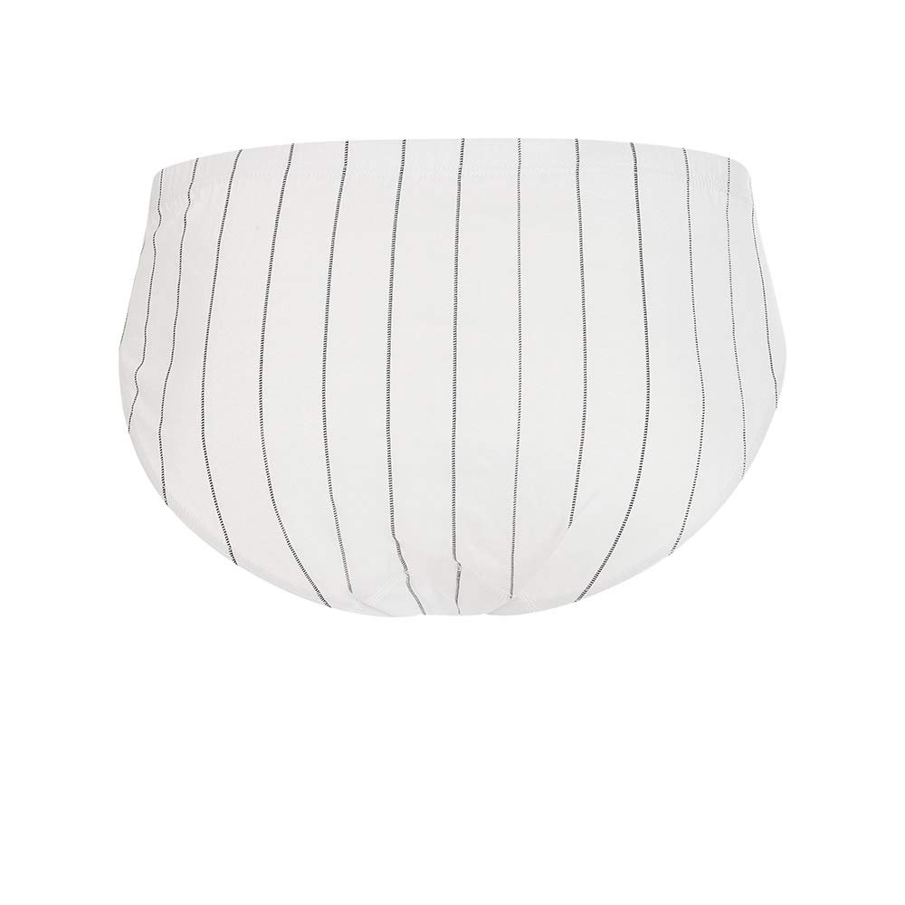 Lady C slip uomo cotone righe 6 pezzi 3XL