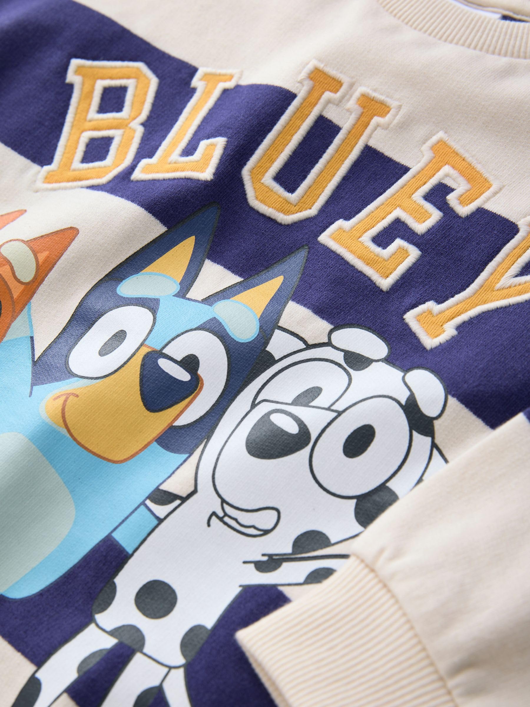 Geo Next Bluey Felpa Girocollo Cotone 116-122 Bimbo