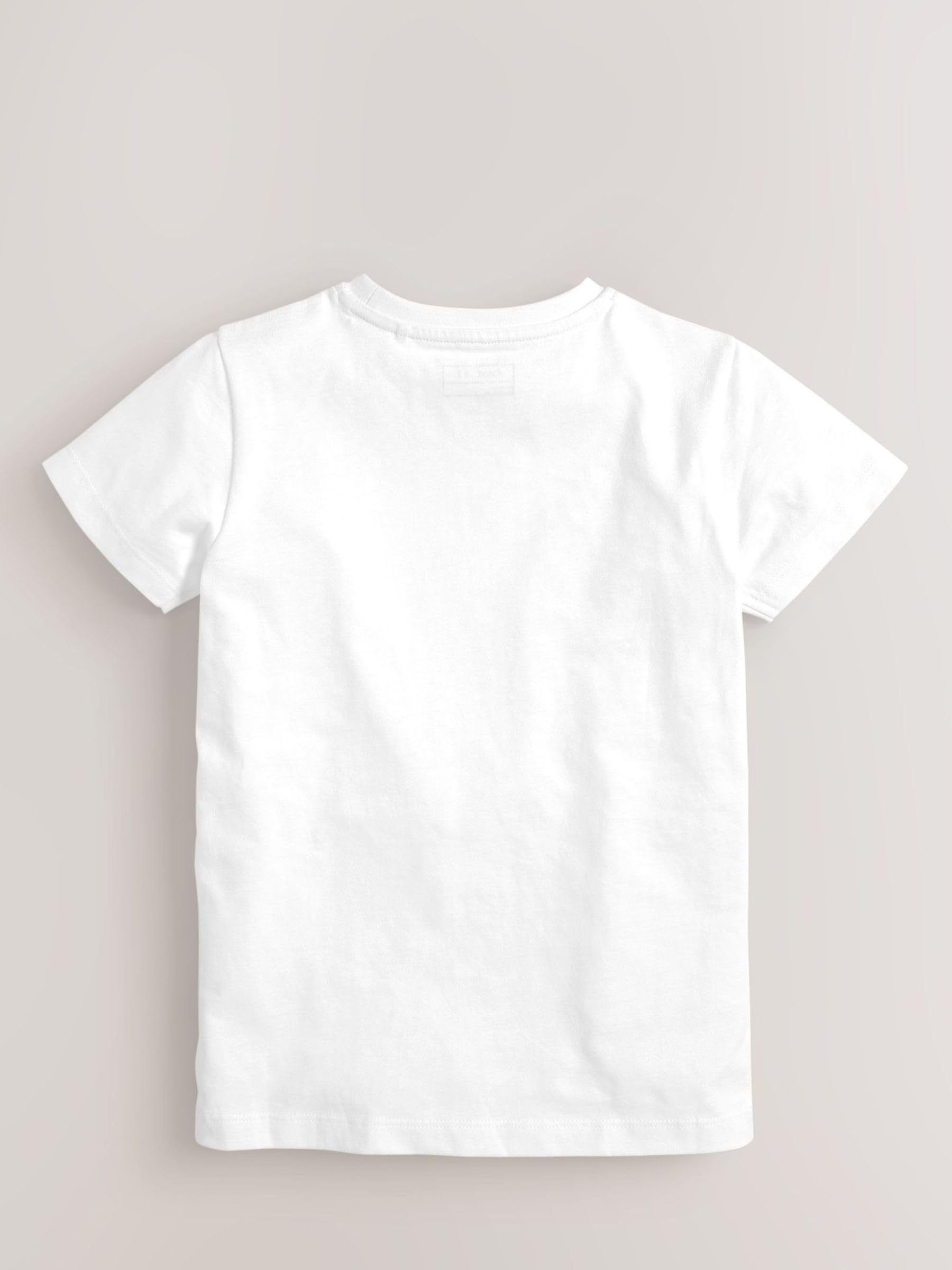 Next t-shirt ragazzo 5 pezzi taglia 110 cotone
