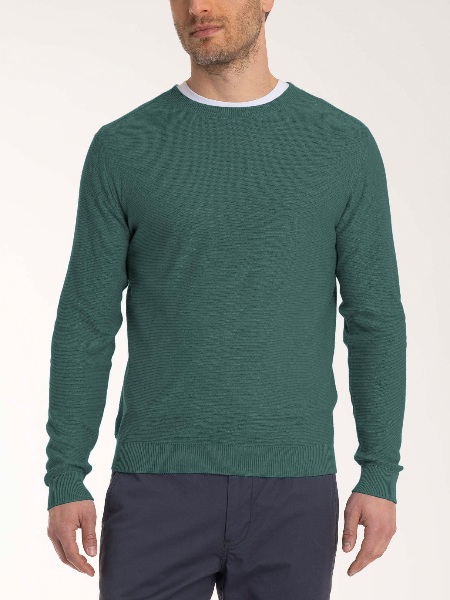 Ragno Puro Cotone Pull Girocollo Maglione Dark Forest uomo