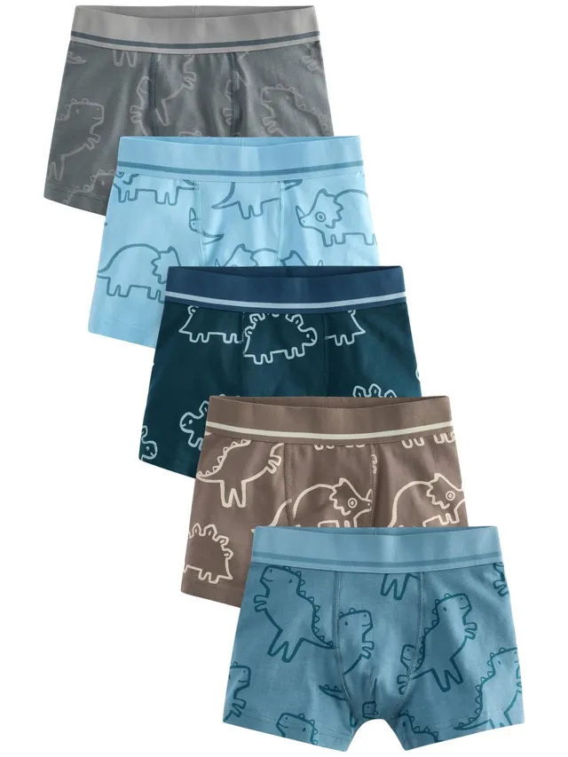 Next boxer ragazzo aderenti 5 pezzi dino blu cotone