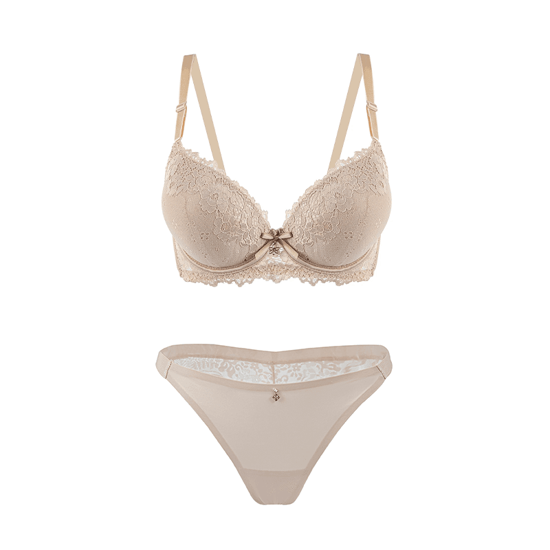 Maria Grazia Severi Floral Lace Mesh completo intimo champagne ferretto