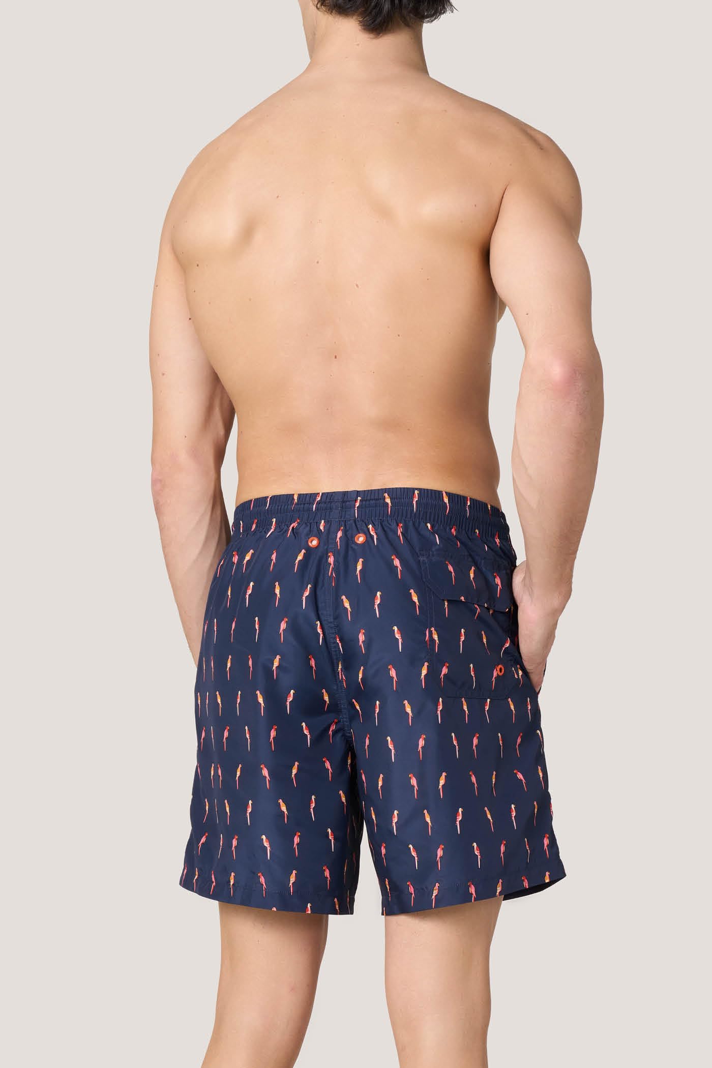 Goldenpoint Parrot costume boxer uomo media lunghezza