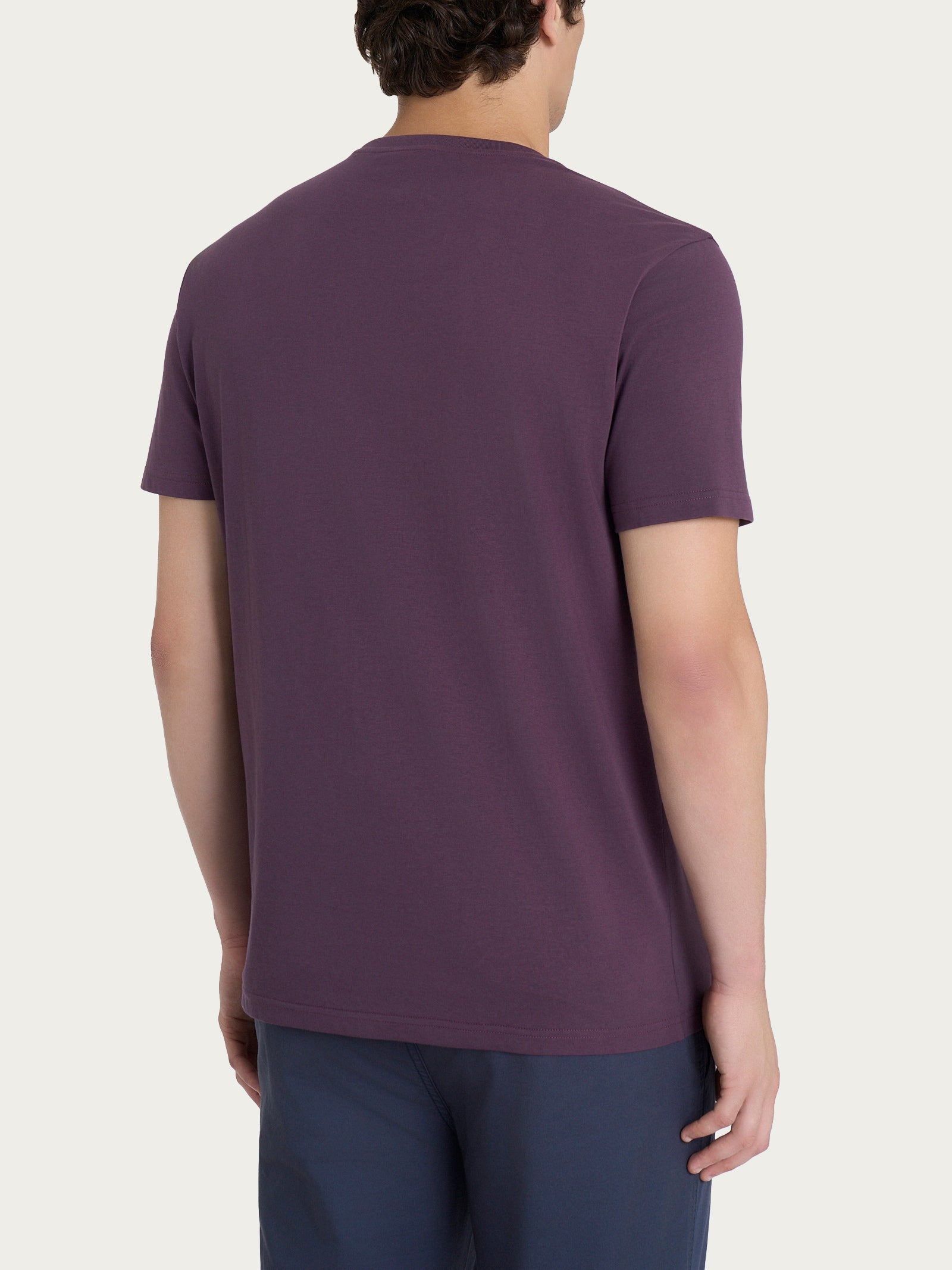 Ragno Jersey Cotone T-shirt girocollo plum perfect