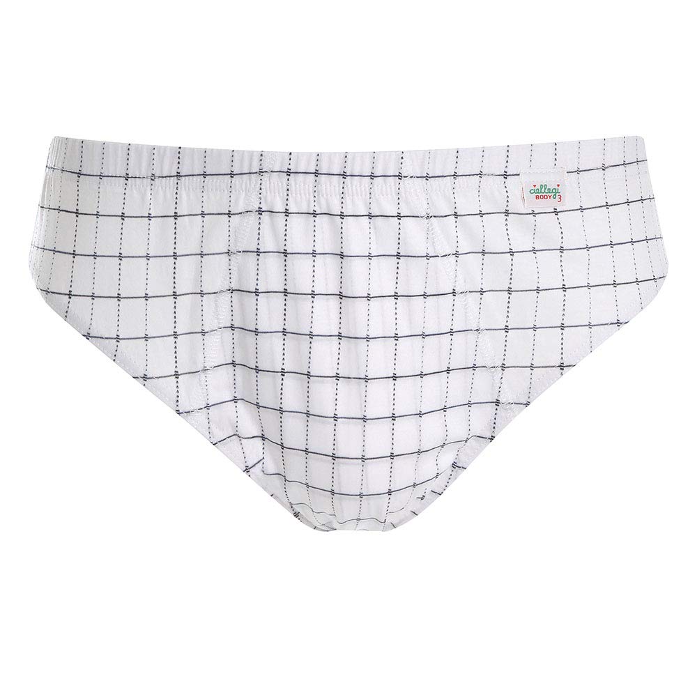 Lady C slip uomo cotone a quadretti taglia L 6 pezzi