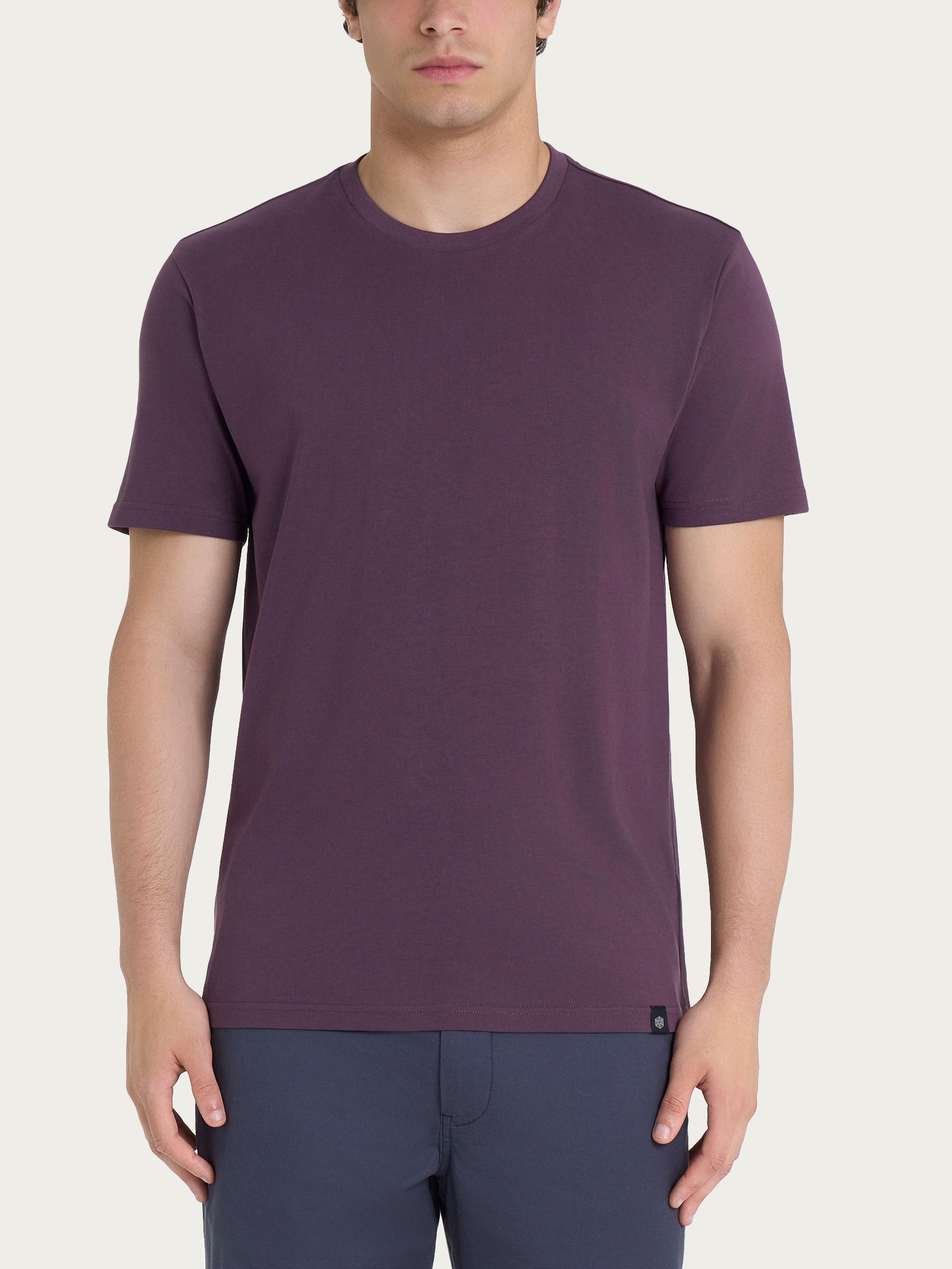 Ragno Jersey Cotone T-shirt girocollo plum perfect