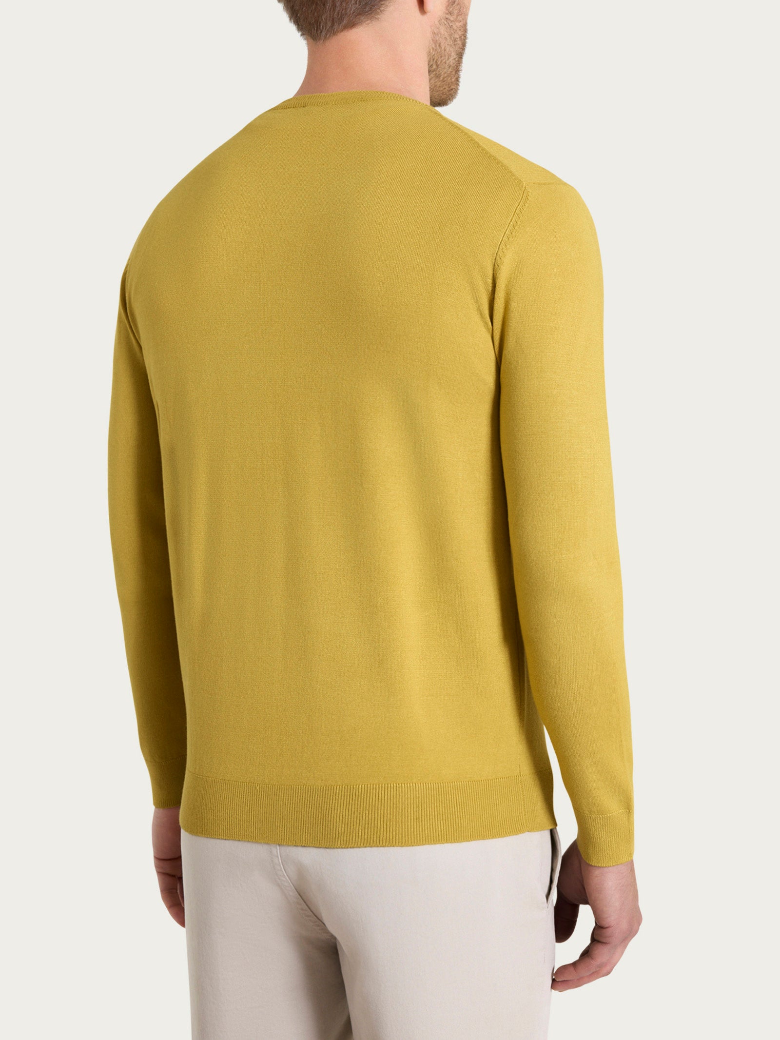 Ragno Four Seasons Pull Girocollo maglia Oil Yellow regular