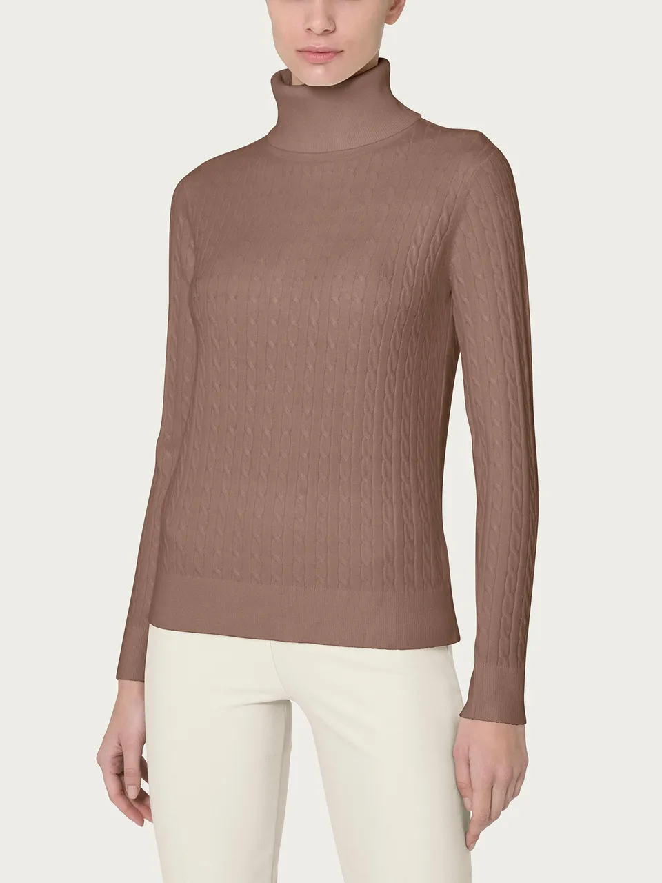 Ragno Super Soft Dolcevita manica lunga marrone viscosa