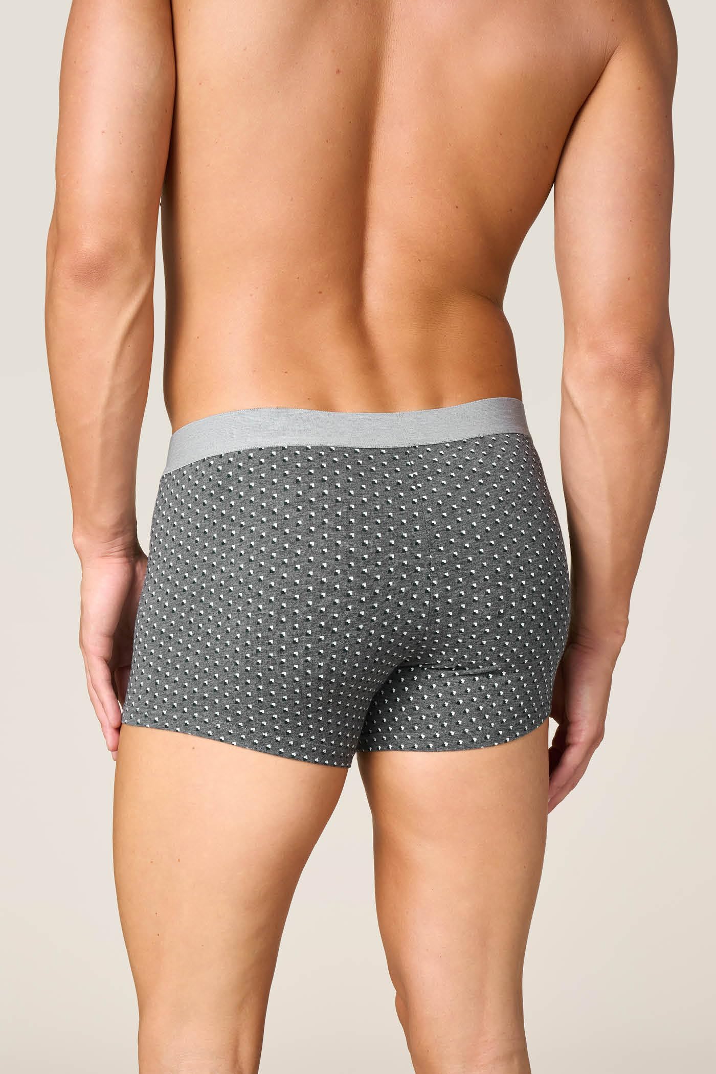 Goldenpoint Boxer Uomo Regular Cotone Organico a Quadri