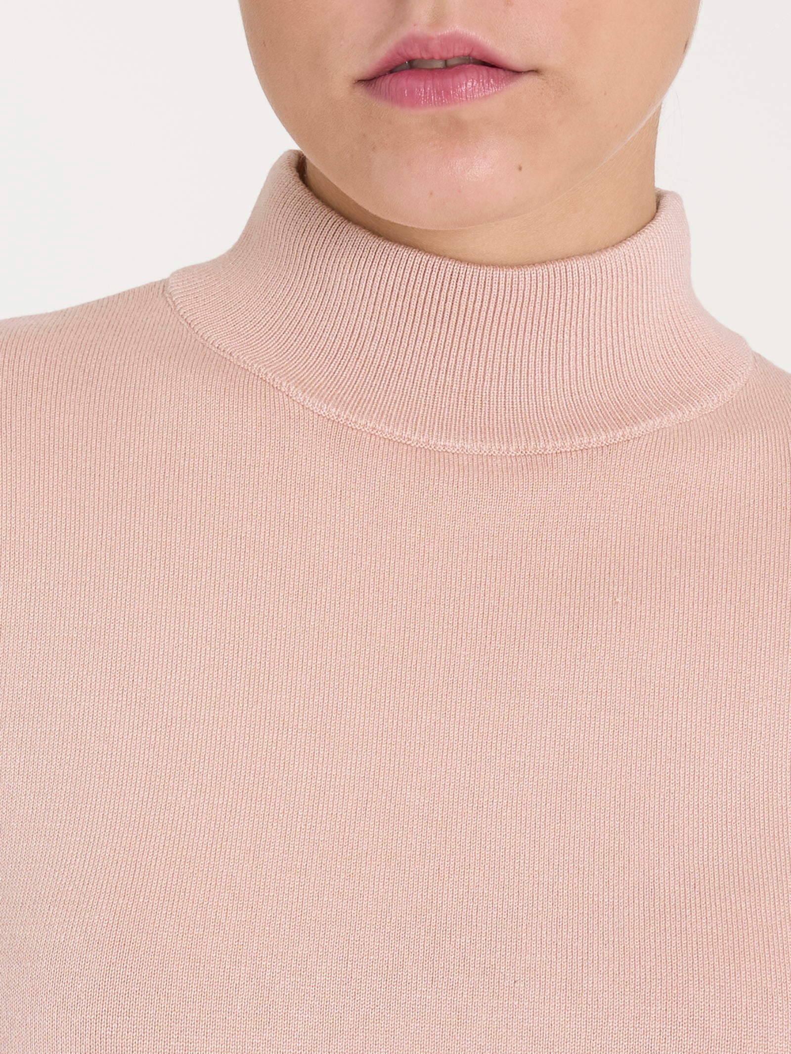 Ragno Four Seasons Lupetto Cameo Rose manica lunga viscosa