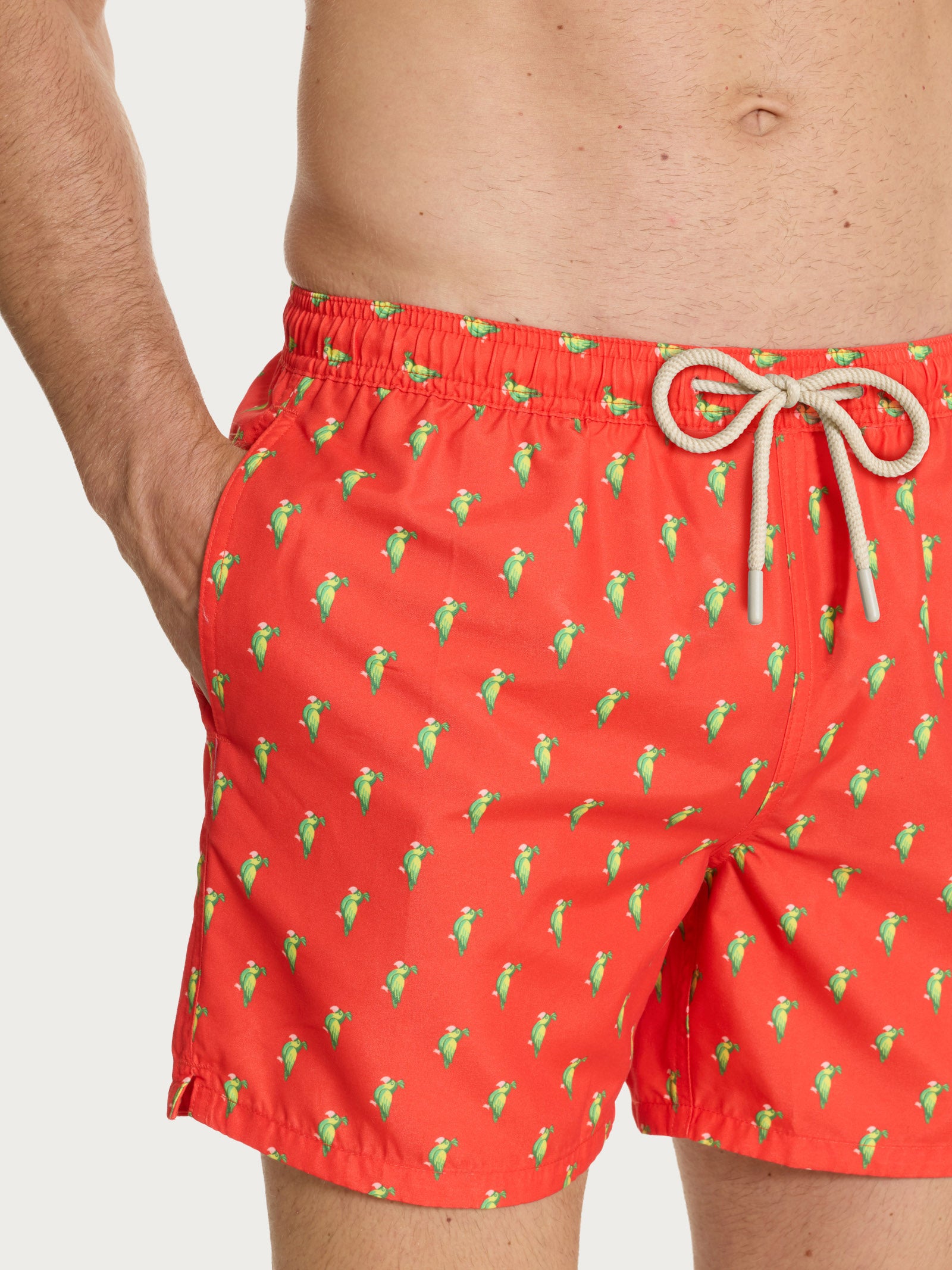 Ragno boxer mare Fant. Grenadine