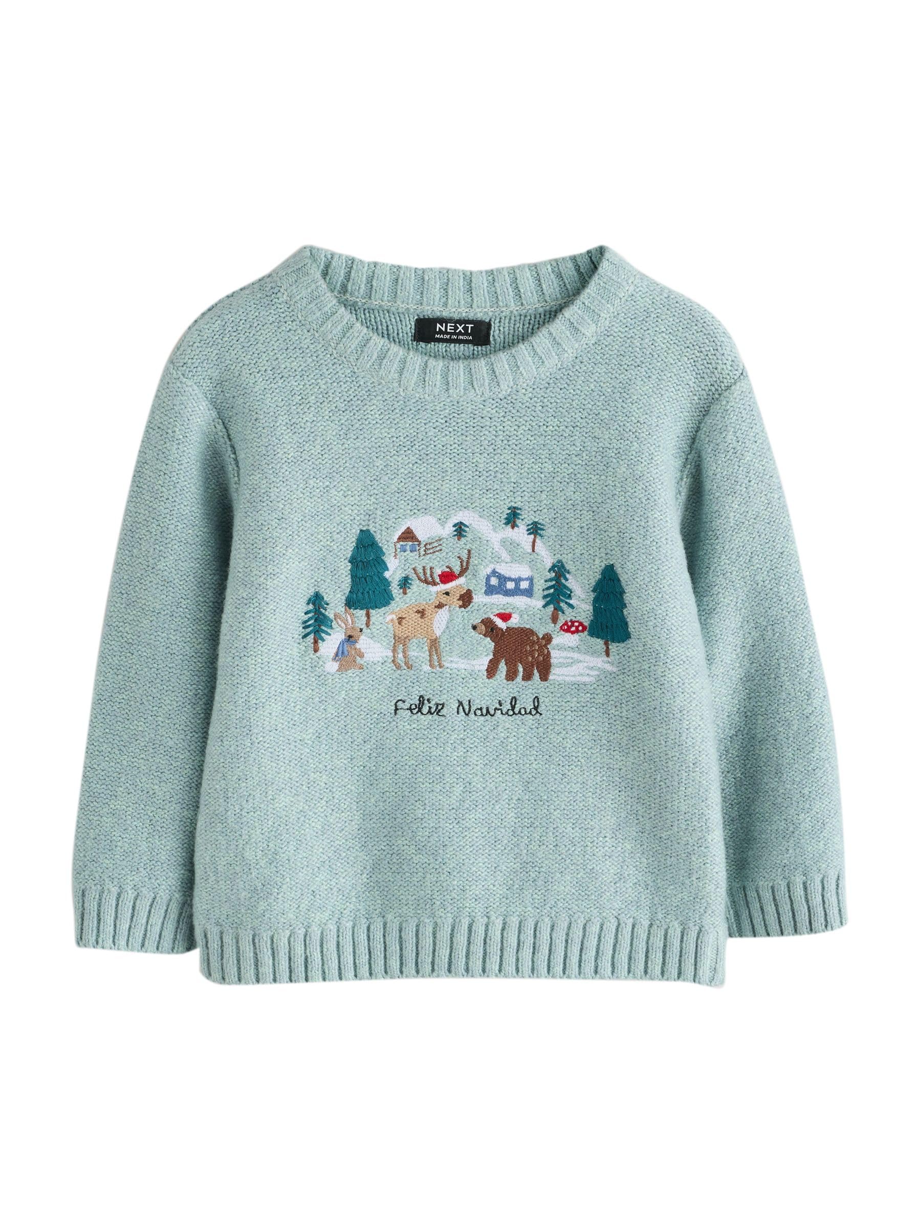 Next Maglia Natale Bambino Lavorata a Maglia Mineral Blue