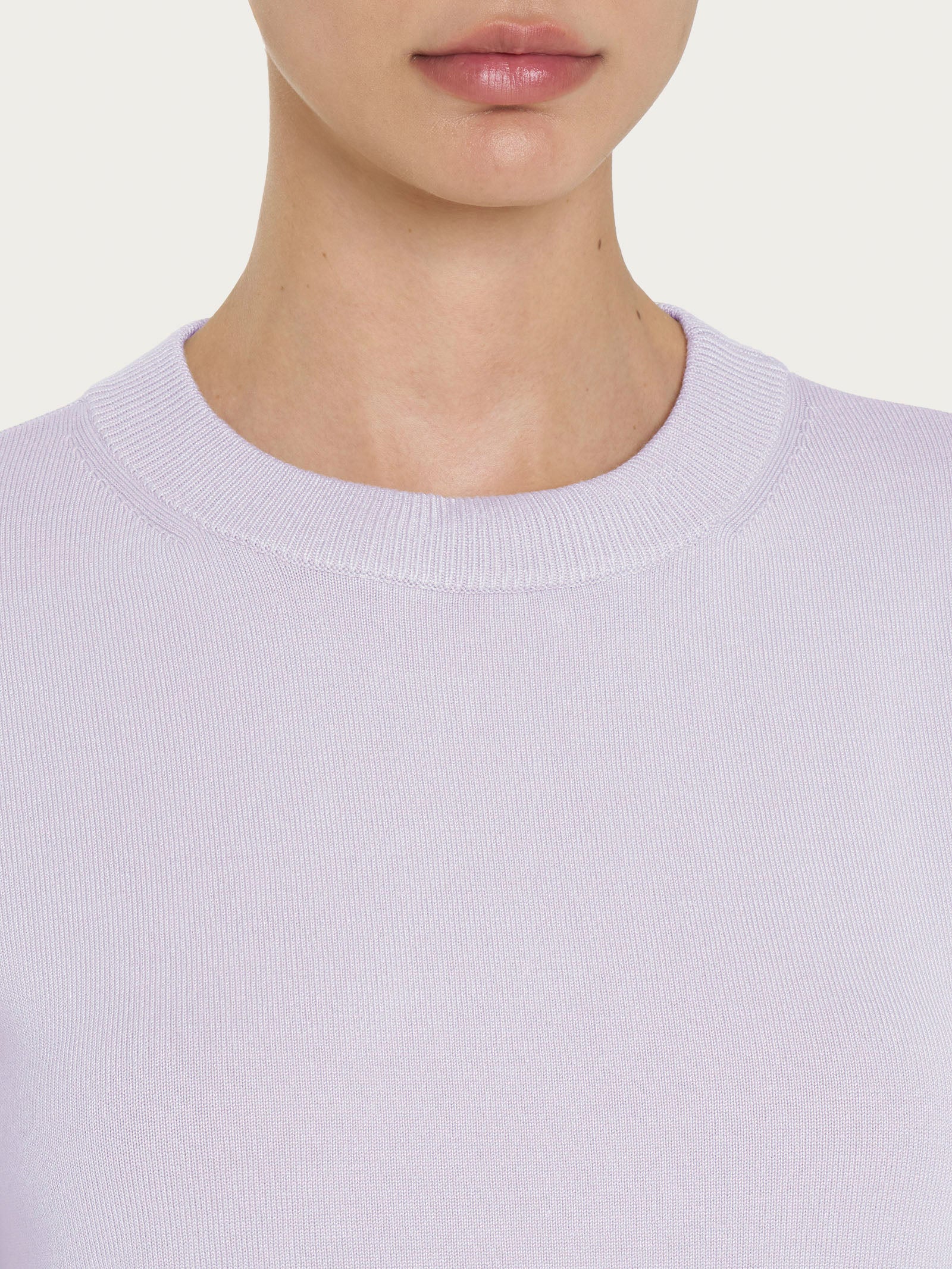 Ragno Four Seasons Maglia Girocollo Manica Lunga Thistle Viscosa