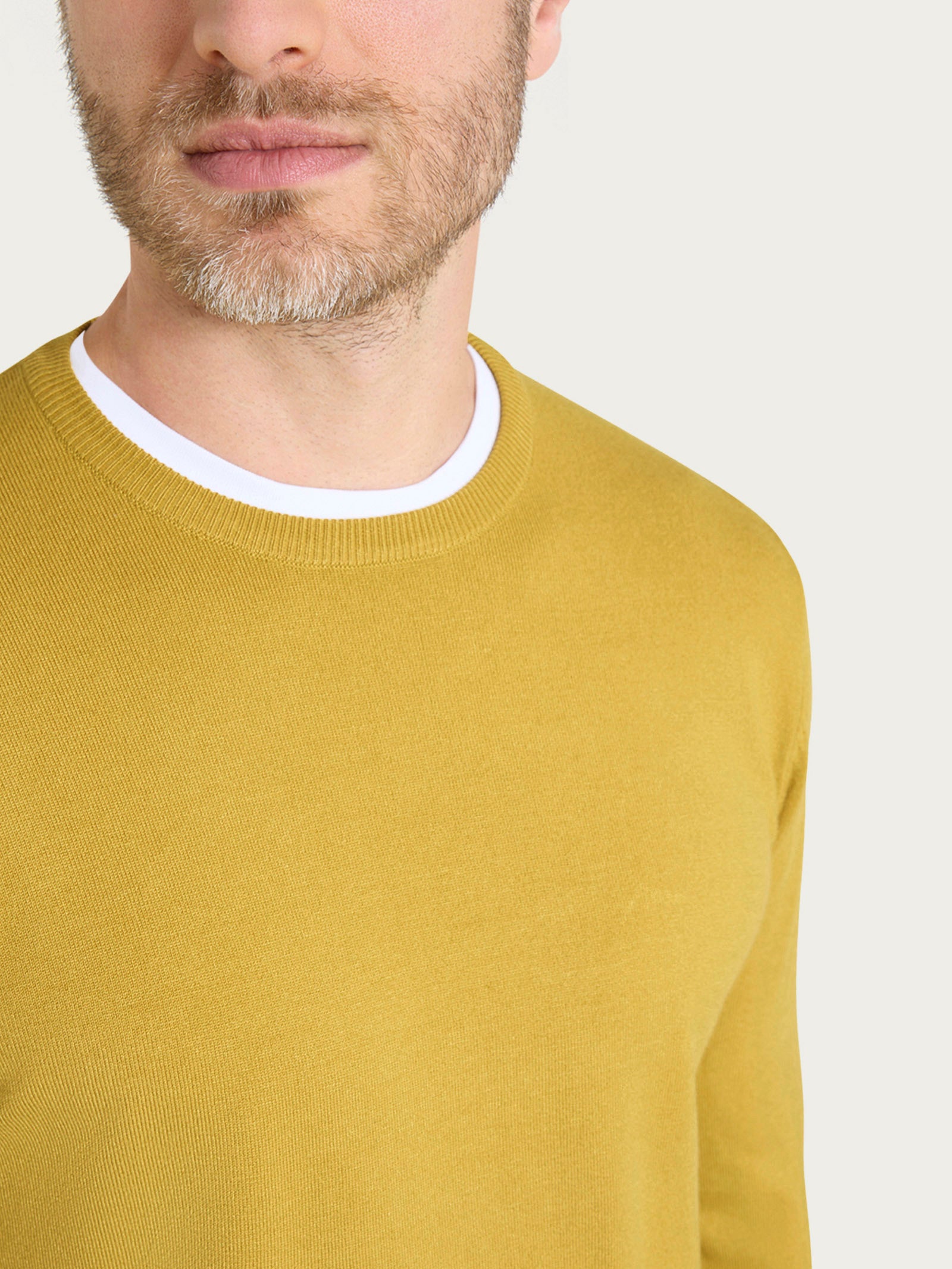 Ragno Four Seasons Pull Girocollo maglia Oil Yellow regular