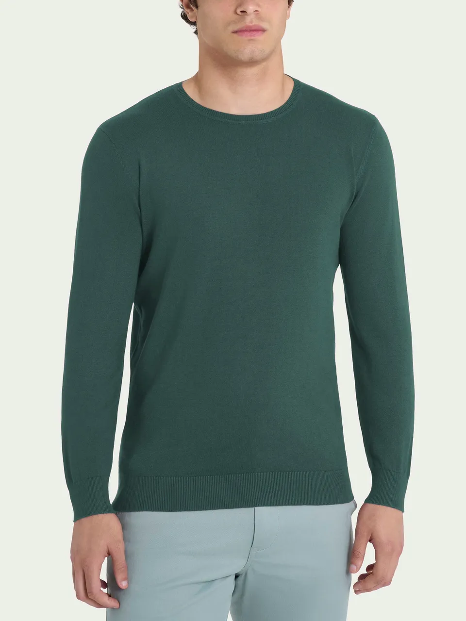 Ragno Four Seasons Pull Girocollo Viscosa Dark Forest
