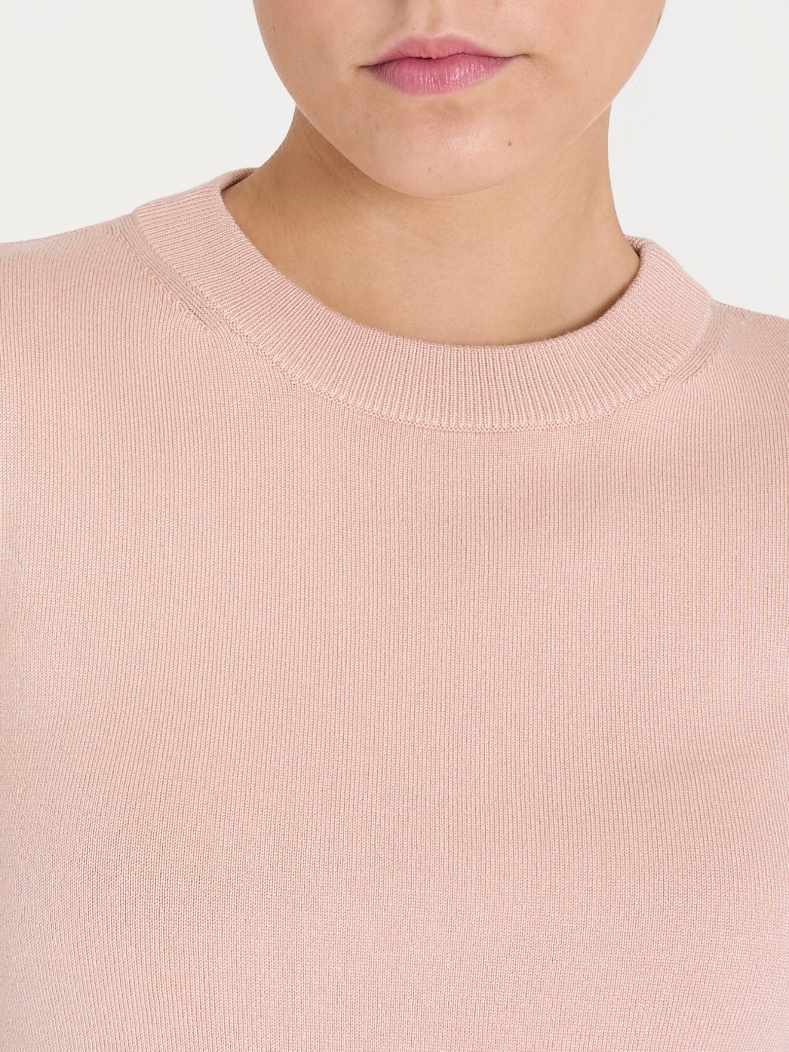 Ragno Four Seasons Maglia Girocollo Winter Basic Cameo Rose Regular