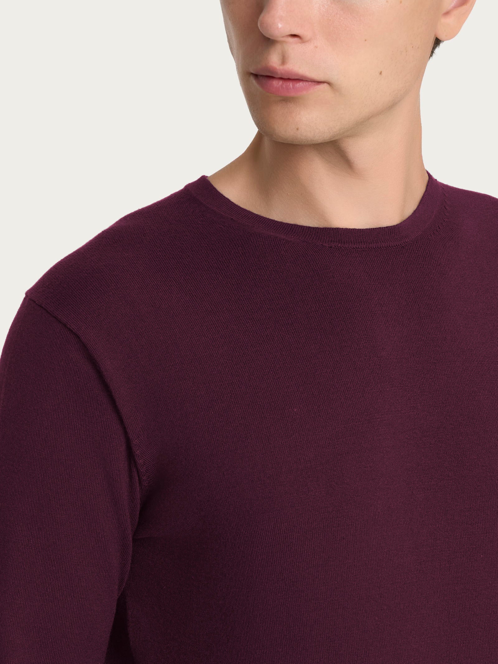 Ragno Four Seasons Pull Girocollo maglia Fig