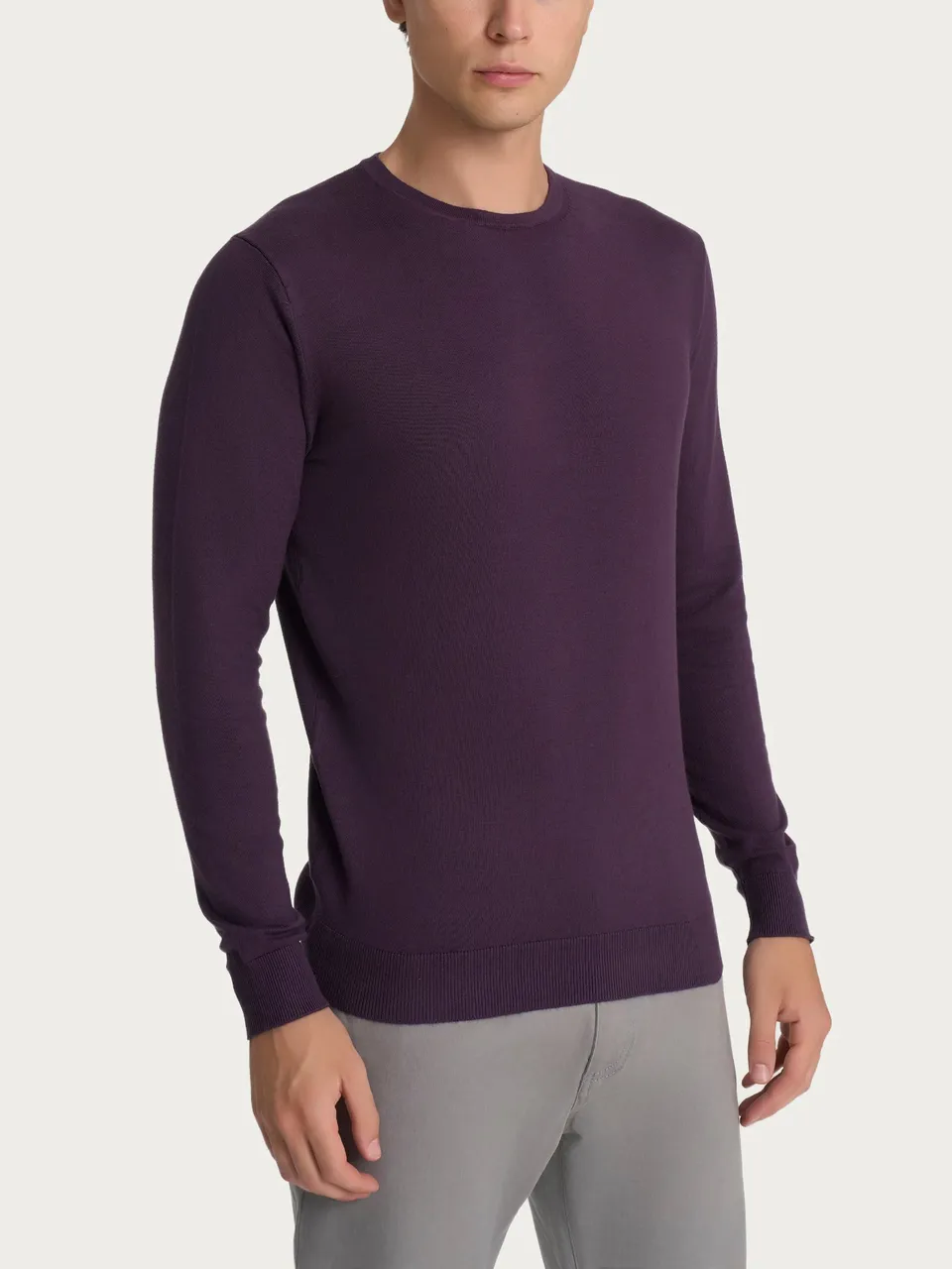 Ragno Four Seasons Pull Girocollo Uomo Sunset Purple Viscosa