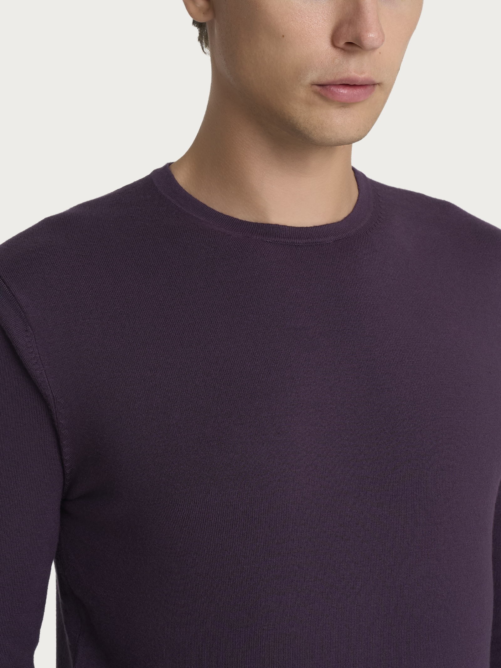 Ragno Four Seasons Pull Girocollo Uomo Sunset Purple Viscosa