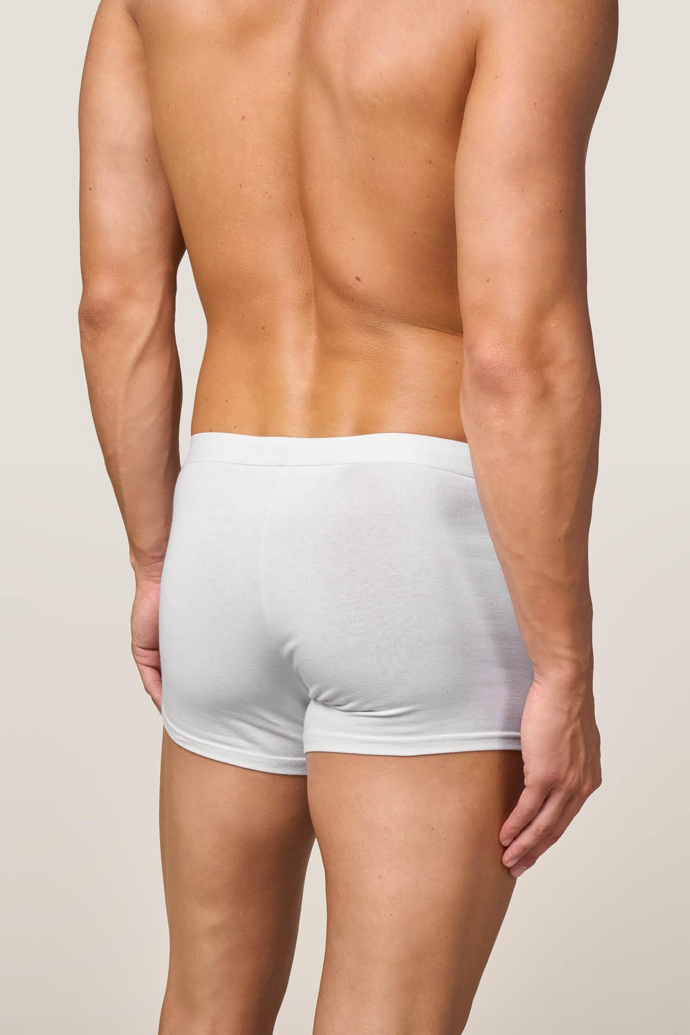 Goldenpoint boxer uomo regular cotone organico