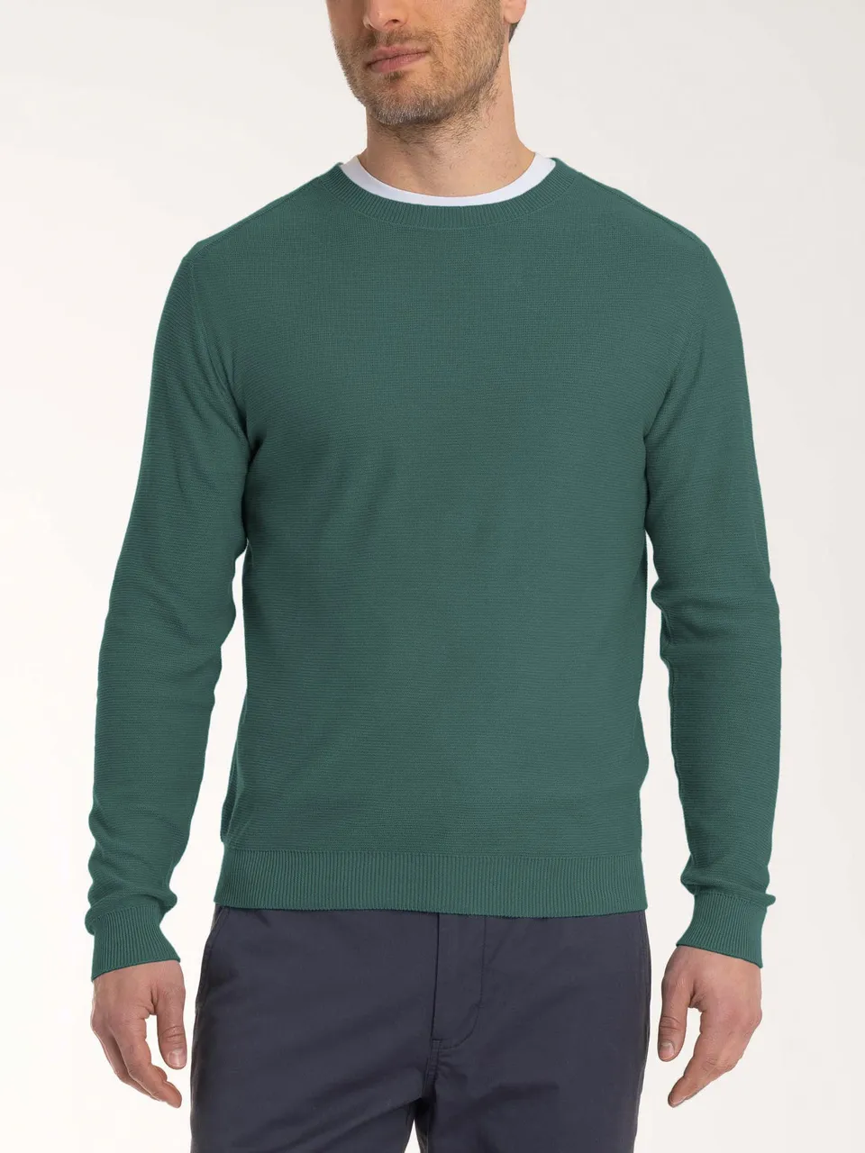 Ragno Puro Cotone Pull Girocollo Maglione Dark Forest uomo