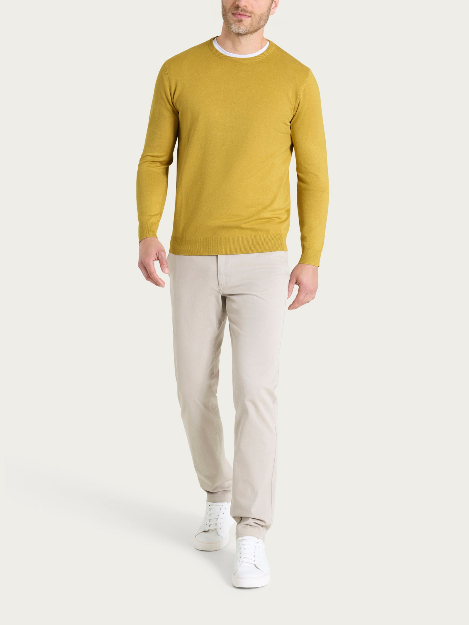 Ragno Four Seasons Pull Girocollo maglia Oil Yellow regular