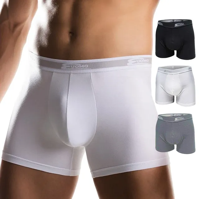 Cotonella slip uomo cotone bianco 3 pz 4/M