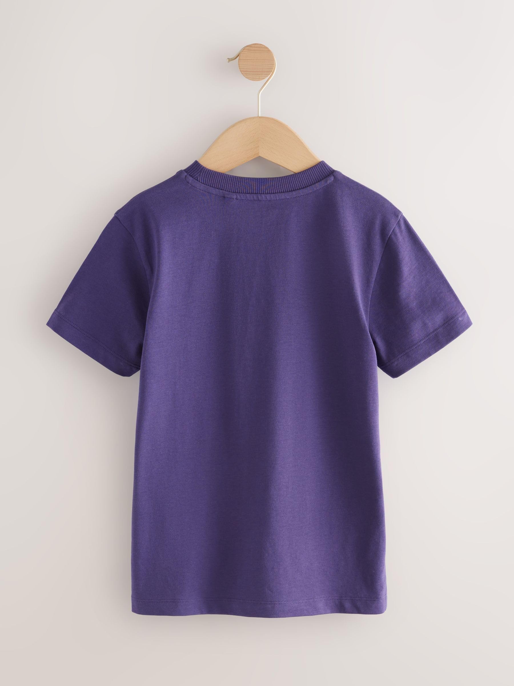Next T-Shirt a Maniche Corte Stampa Integrale Bambino Regular