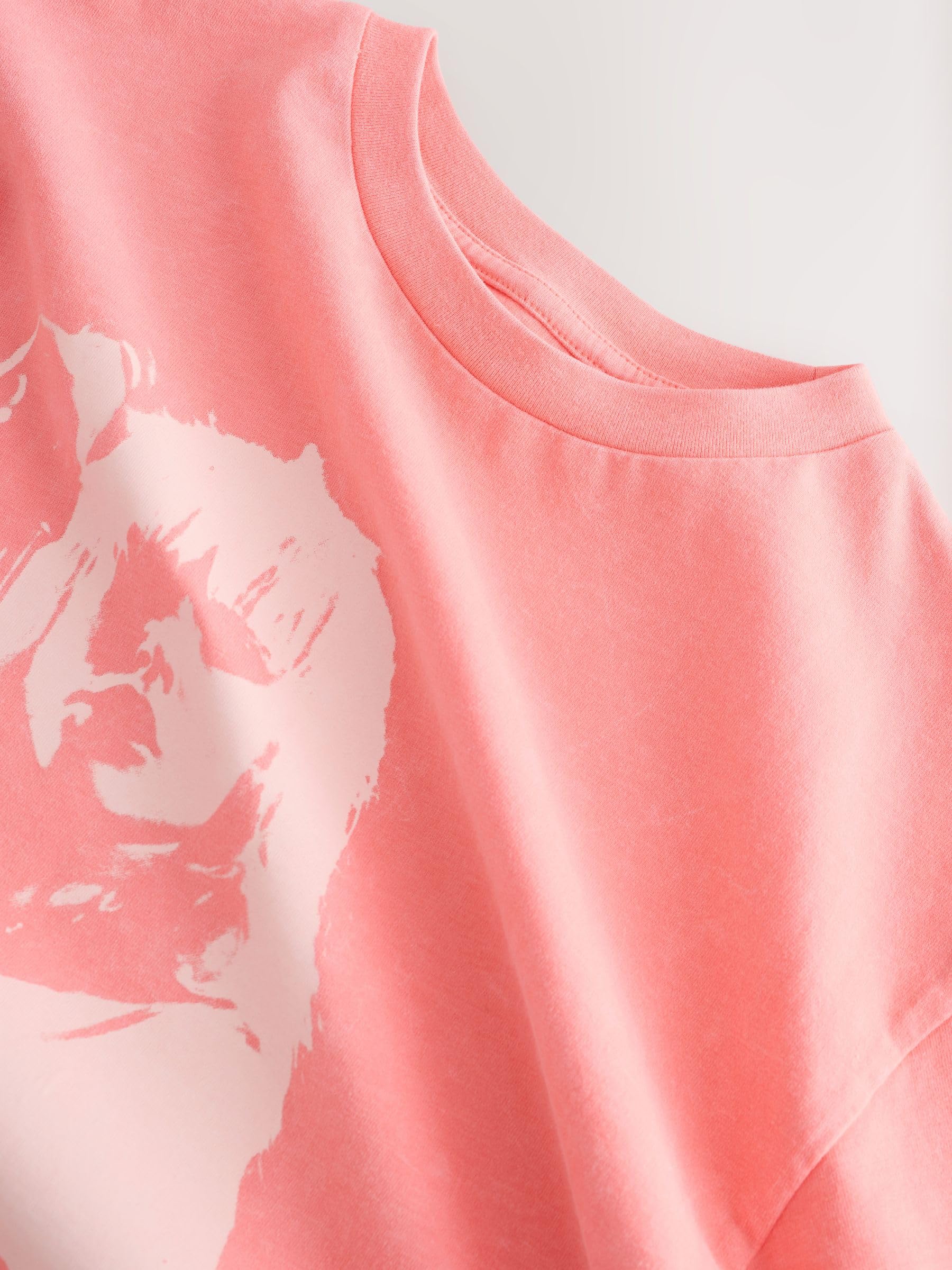 Next t-shirt bambina stampata 4 anni uso quotidiano