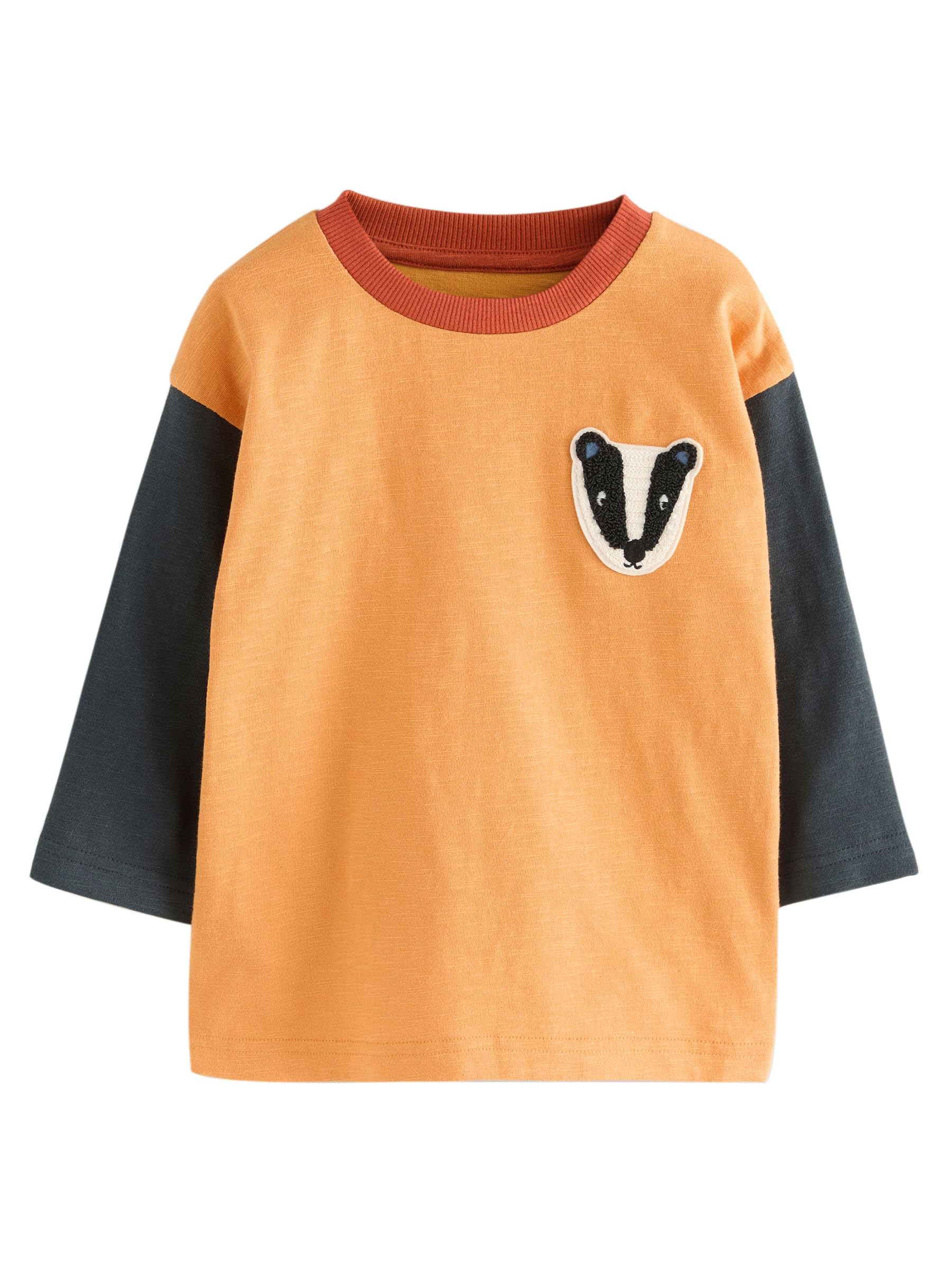 Next T-Shirt Bambino Manica Lunga Cotone Confezione 3