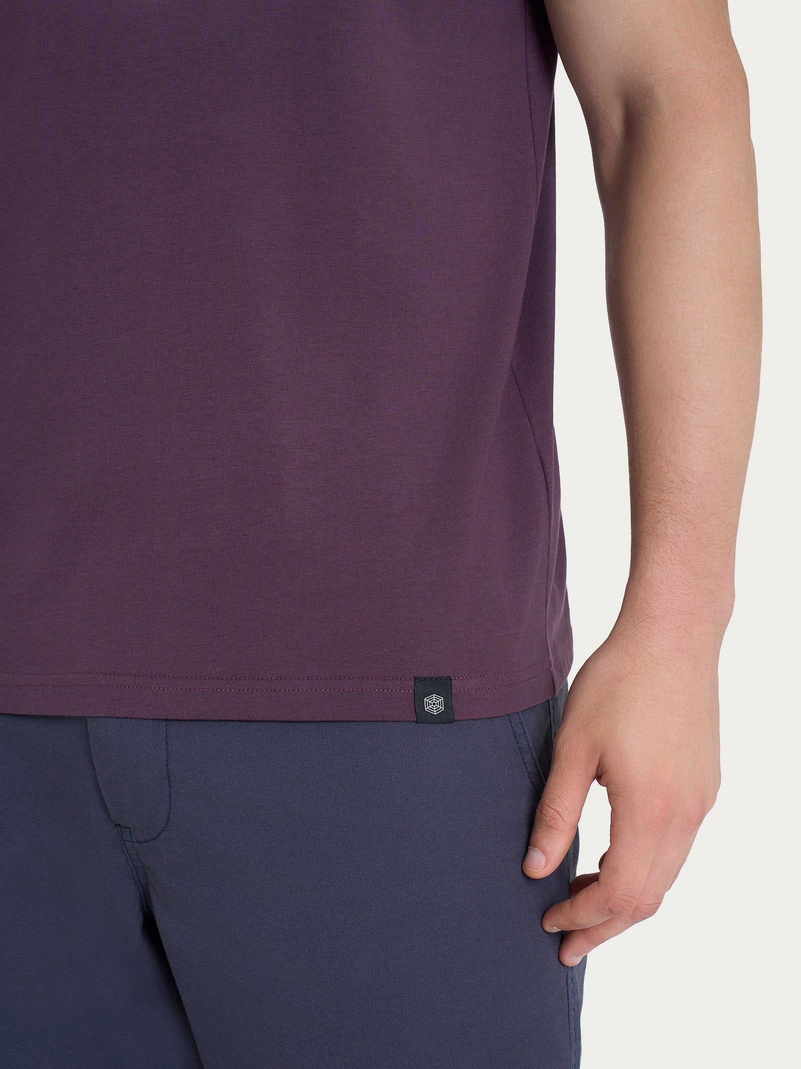 Ragno Jersey Cotone T-shirt girocollo plum perfect