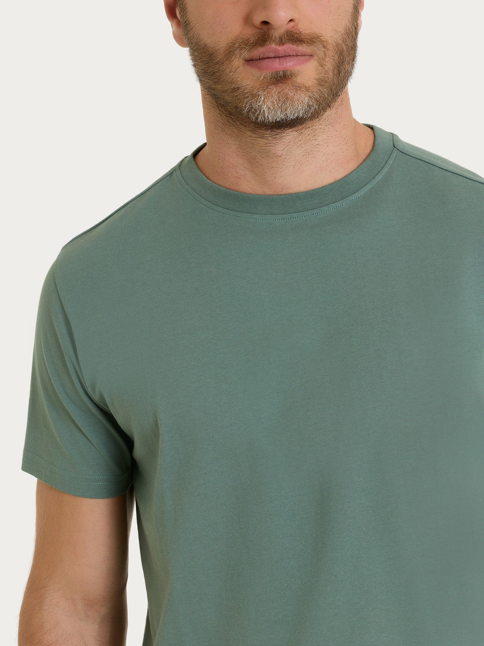 Ragno T-shirt Girocollo Jersey Cotone Laurel Wreath manica corta